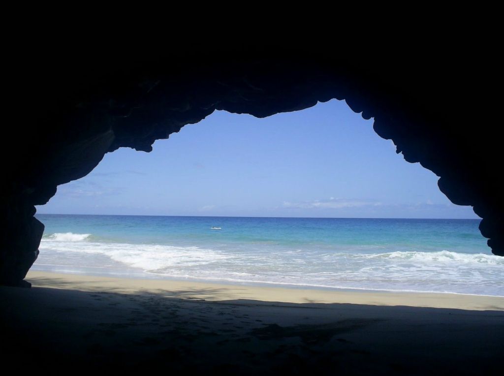 Things To Be Thankful&nbsp;For